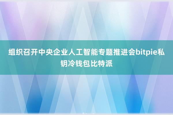 组织召开中央企业人工智能专题推进会bitpie私钥冷钱包比特派