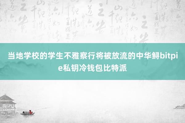 当地学校的学生不雅察行将被放流的中华鲟bitpie私钥冷钱包比特派