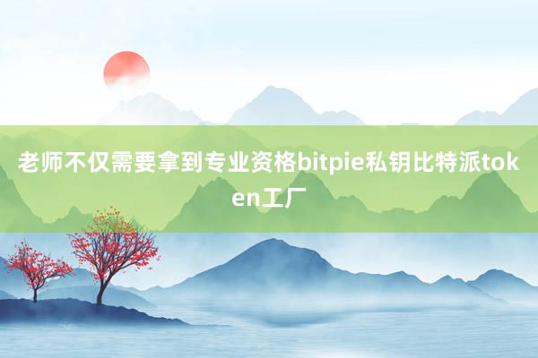 老师不仅需要拿到专业资格bitpie私钥比特派token工厂