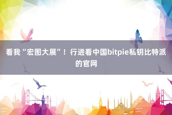 看我“宏图大展”！行进看中国bitpie私钥比特派的官网