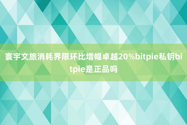 寰宇文旅消耗界限环比增幅卓越20%bitpie私钥bitpie是正品吗