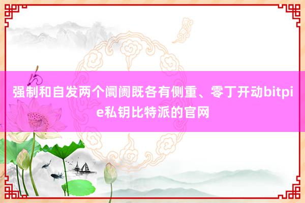 强制和自发两个阛阓既各有侧重、零丁开动bitpie私钥比特派的官网