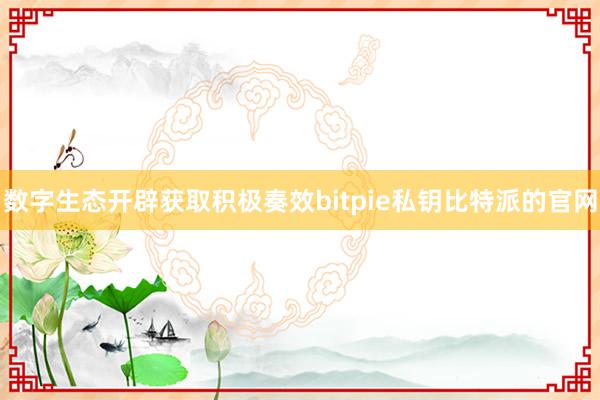 数字生态开辟获取积极奏效bitpie私钥比特派的官网