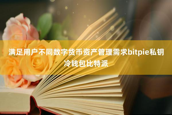 满足用户不同数字货币资产管理需求bitpie私钥冷钱包比特派