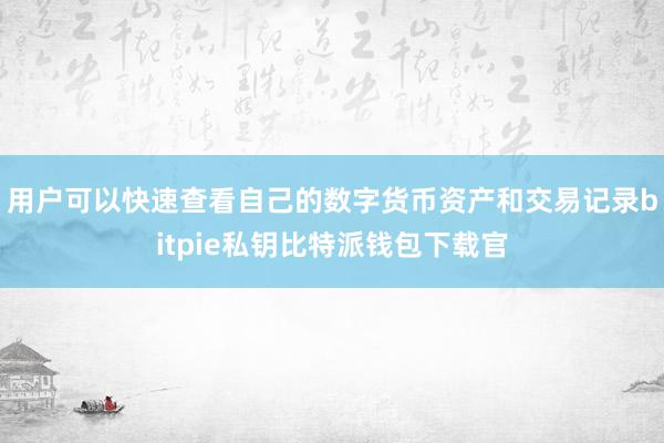 用户可以快速查看自己的数字货币资产和交易记录bitpie私钥比特派钱包下载官