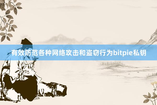 有效防范各种网络攻击和盗窃行为bitpie私钥