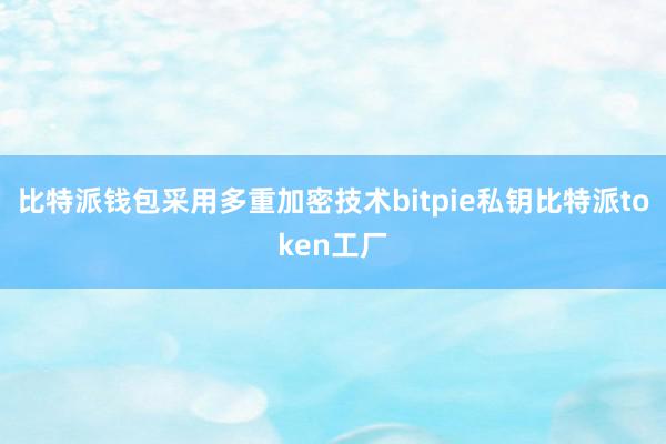 比特派钱包采用多重加密技术bitpie私钥比特派token工厂