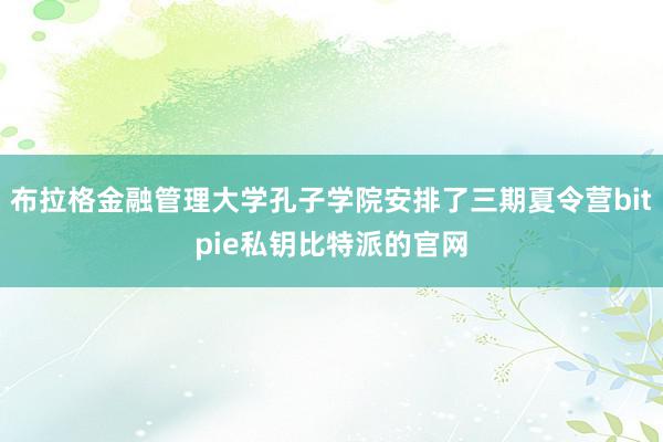 布拉格金融管理大学孔子学院安排了三期夏令营bitpie私钥比特派的官网