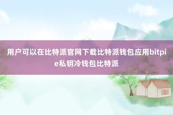 用户可以在比特派官网下载比特派钱包应用bitpie私钥冷钱包比特派