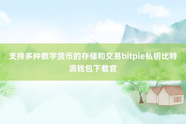 支持多种数字货币的存储和交易bitpie私钥比特派钱包下载官