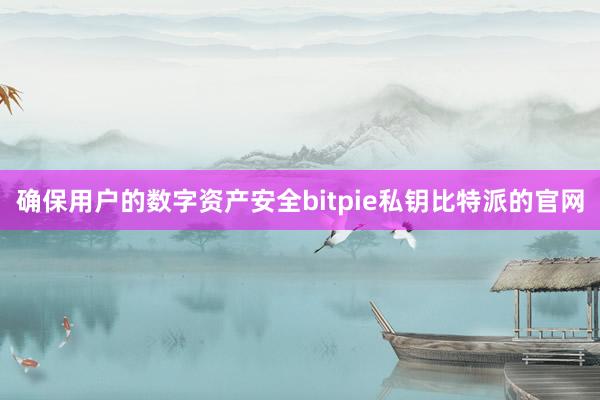 确保用户的数字资产安全bitpie私钥比特派的官网