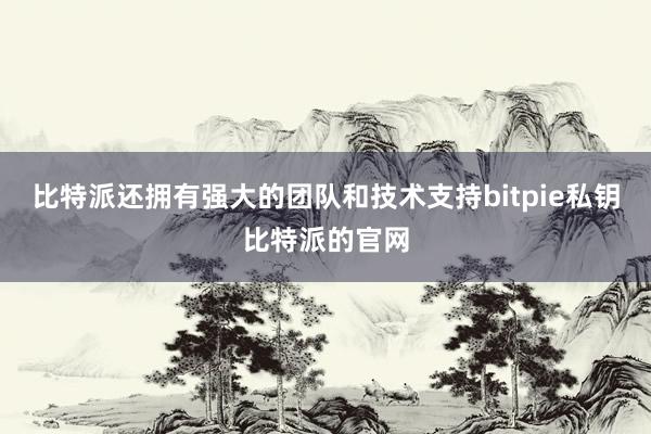 比特派还拥有强大的团队和技术支持bitpie私钥比特派的官网