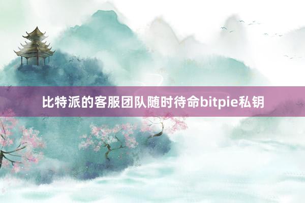 比特派的客服团队随时待命bitpie私钥