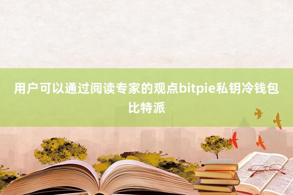 用户可以通过阅读专家的观点bitpie私钥冷钱包比特派