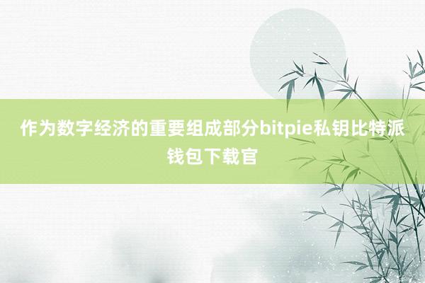 作为数字经济的重要组成部分bitpie私钥比特派钱包下载官