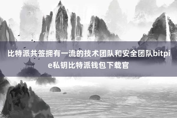 比特派共签拥有一流的技术团队和安全团队bitpie私钥比特派钱包下载官