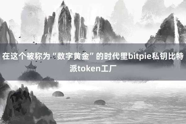 在这个被称为“数字黄金”的时代里bitpie私钥比特派token工厂