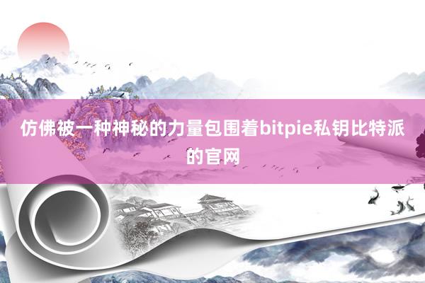 仿佛被一种神秘的力量包围着bitpie私钥比特派的官网