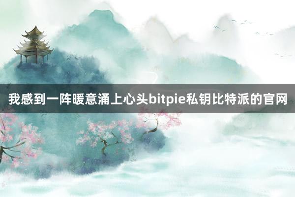 我感到一阵暖意涌上心头bitpie私钥比特派的官网