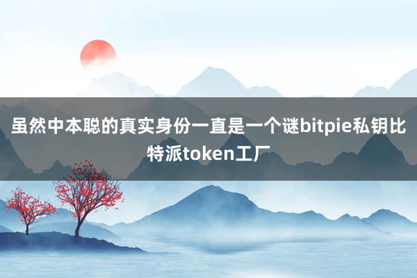 虽然中本聪的真实身份一直是一个谜bitpie私钥比特派token工厂