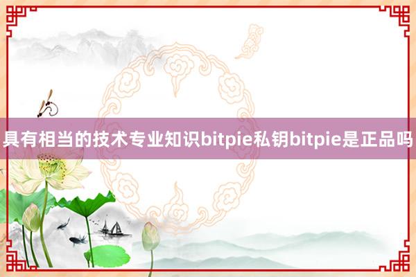 具有相当的技术专业知识bitpie私钥bitpie是正品吗