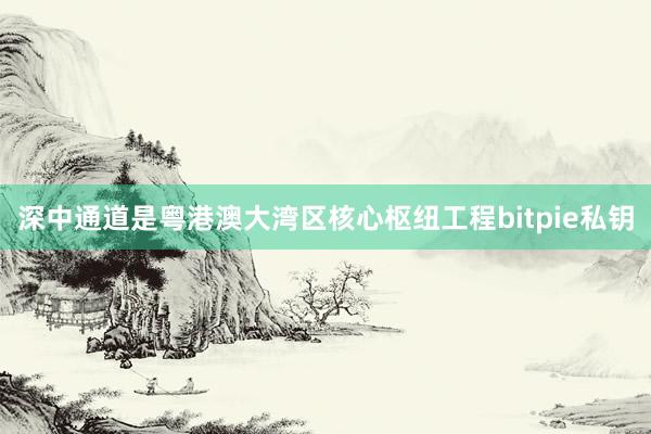 深中通道是粤港澳大湾区核心枢纽工程bitpie私钥