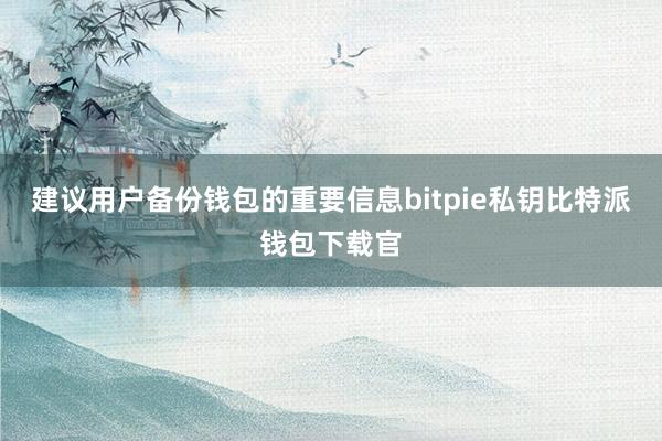 建议用户备份钱包的重要信息bitpie私钥比特派钱包下载官