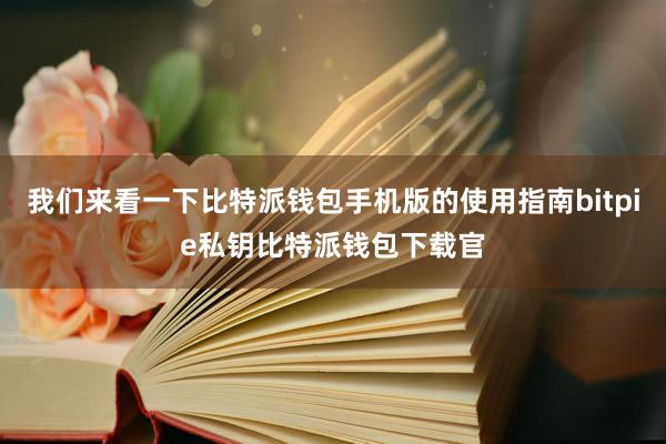 我们来看一下比特派钱包手机版的使用指南bitpie私钥比特派钱包下载官