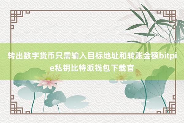 转出数字货币只需输入目标地址和转账金额bitpie私钥比特派钱包下载官