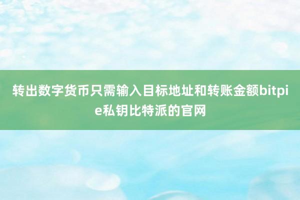 转出数字货币只需输入目标地址和转账金额bitpie私钥比特派的官网