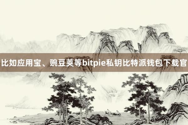 比如应用宝、豌豆荚等bitpie私钥比特派钱包下载官