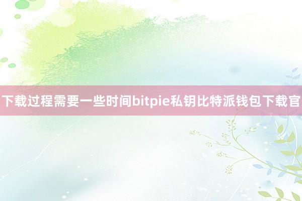 下载过程需要一些时间bitpie私钥比特派钱包下载官