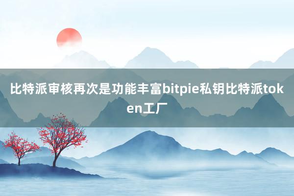 比特派审核再次是功能丰富bitpie私钥比特派token工厂