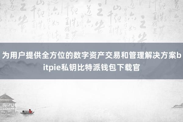 为用户提供全方位的数字资产交易和管理解决方案bitpie私钥比特派钱包下载官