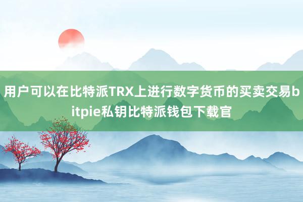 用户可以在比特派TRX上进行数字货币的买卖交易bitpie私钥比特派钱包下载官