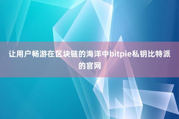 让用户畅游在区块链的海洋中bitpie私钥比特派的官网