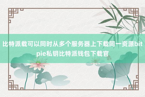 比特派载可以同时从多个服务器上下载同一资源bitpie私钥比特派钱包下载官