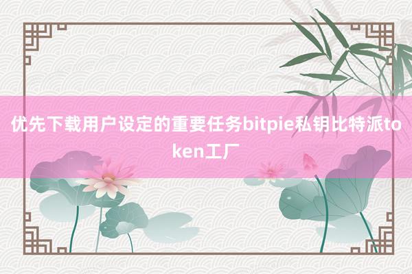 优先下载用户设定的重要任务bitpie私钥比特派token工厂