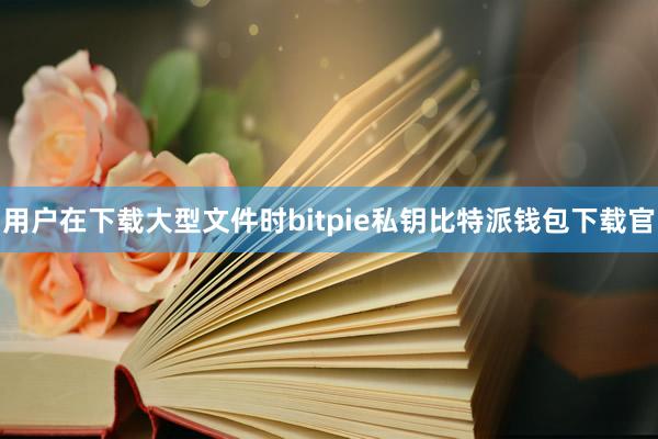 用户在下载大型文件时bitpie私钥比特派钱包下载官