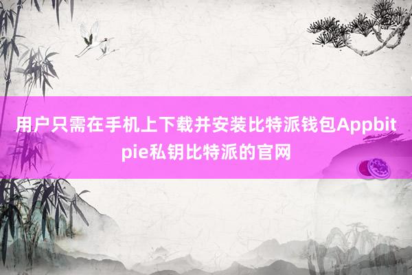 用户只需在手机上下载并安装比特派钱包Appbitpie私钥比特派的官网