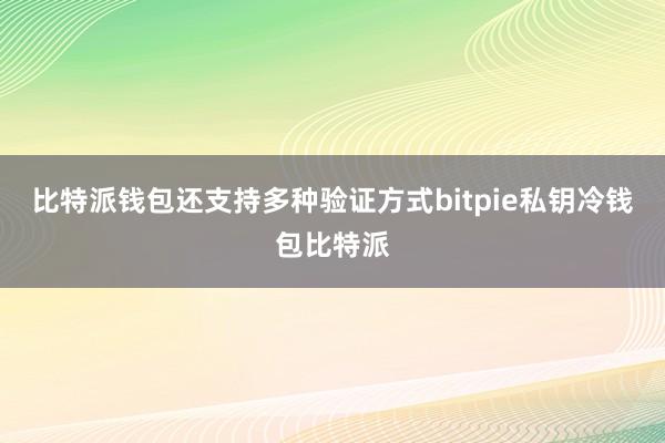 比特派钱包还支持多种验证方式bitpie私钥冷钱包比特派