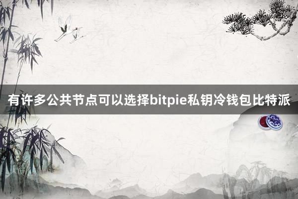 有许多公共节点可以选择bitpie私钥冷钱包比特派