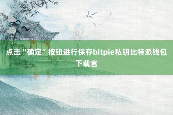 点击“确定”按钮进行保存bitpie私钥比特派钱包下载官