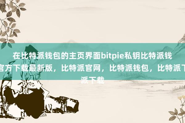 在比特派钱包的主页界面bitpie私钥比特派钱包官方下载最新版，比特派官网，比特派钱包，比特派下载