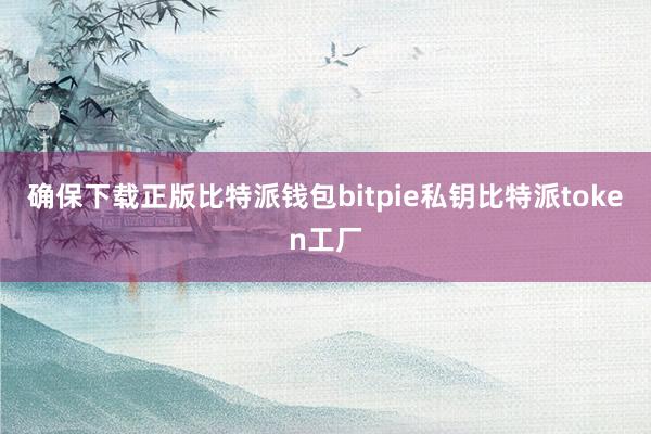 确保下载正版比特派钱包bitpie私钥比特派token工厂