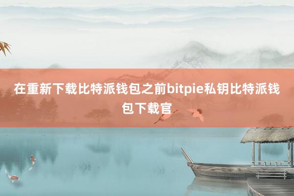 在重新下载比特派钱包之前bitpie私钥比特派钱包下载官