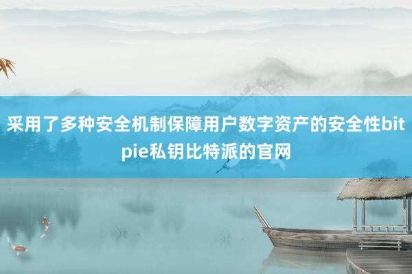 采用了多种安全机制保障用户数字资产的安全性bitpie私钥比特派的官网