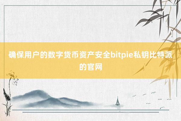 确保用户的数字货币资产安全bitpie私钥比特派的官网