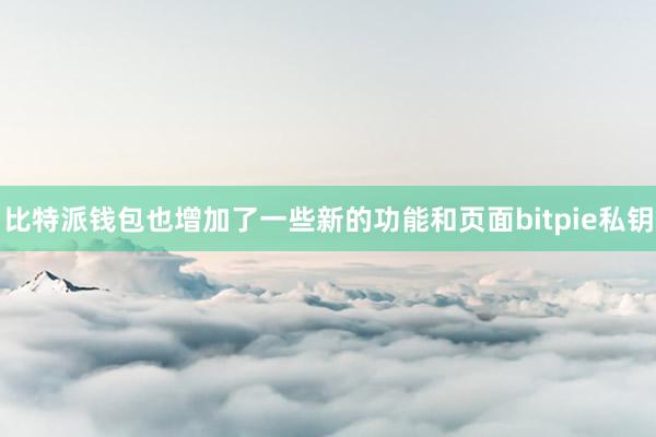 比特派钱包也增加了一些新的功能和页面bitpie私钥