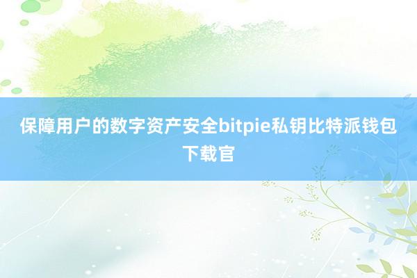 保障用户的数字资产安全bitpie私钥比特派钱包下载官